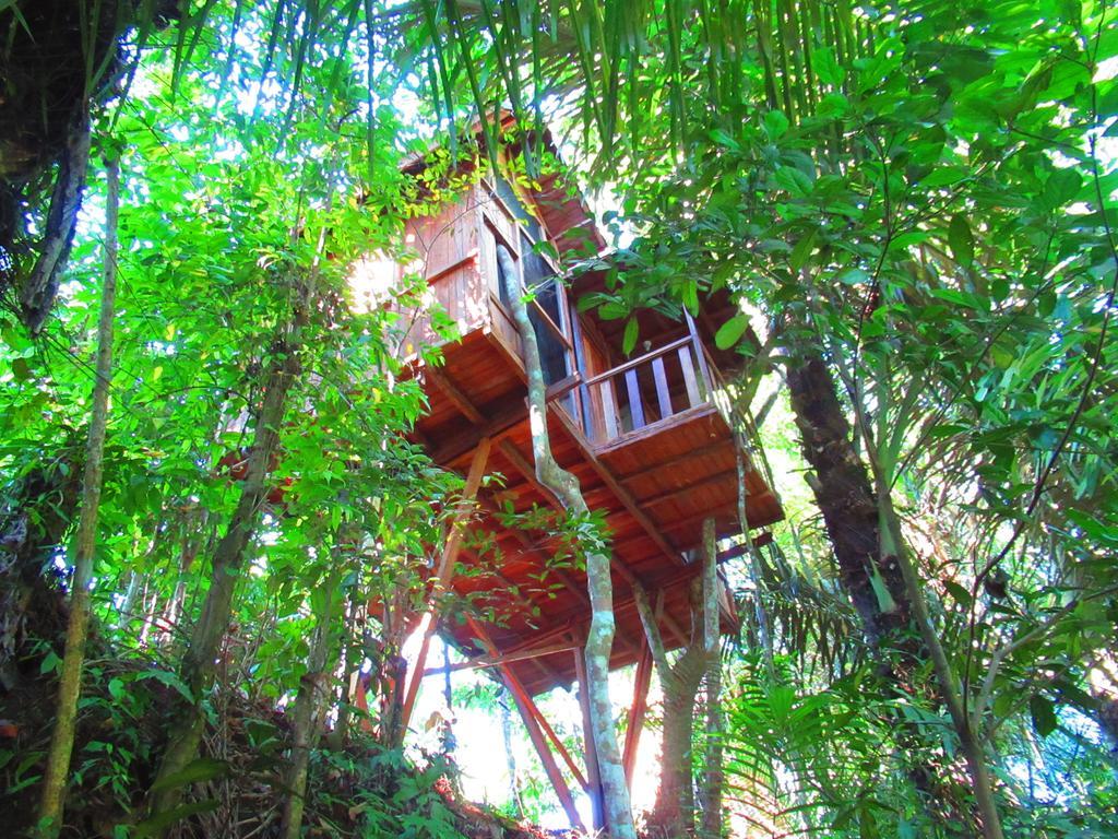 ホテルHars Garden Tree Houses ウブド エクステリア 写真